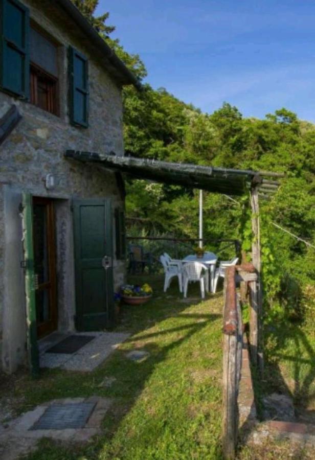 Vila Casa Serena Petrognano  Exteriér fotografie