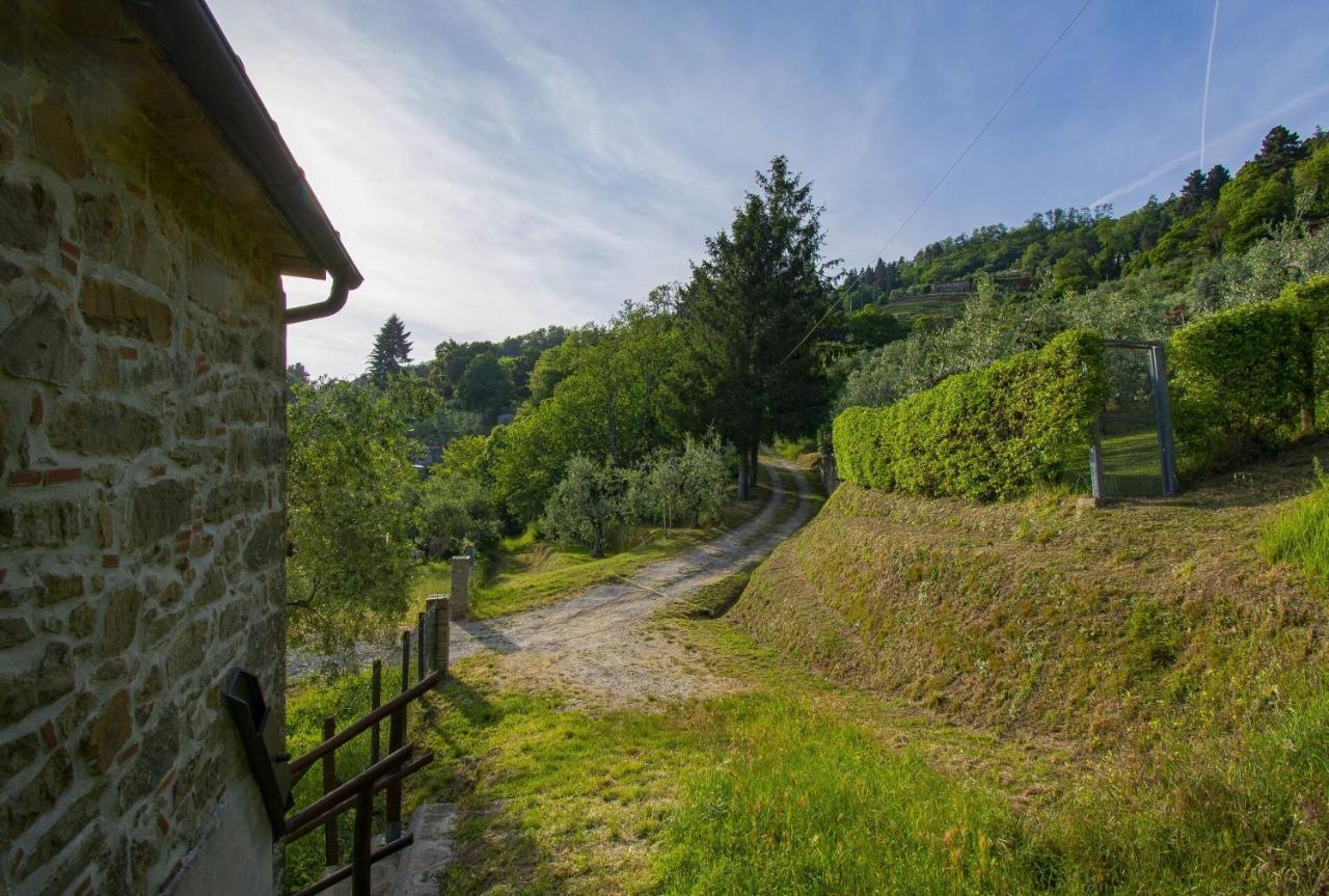Vila Casa Serena Petrognano  Exteriér fotografie