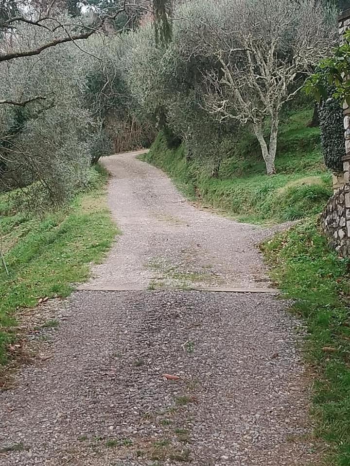 Vila Casa Serena Petrognano  Exteriér fotografie